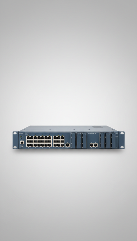 Professional-Grade Networking Switch