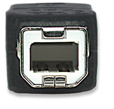 Hi-Speed USB B Device Cable Image 4