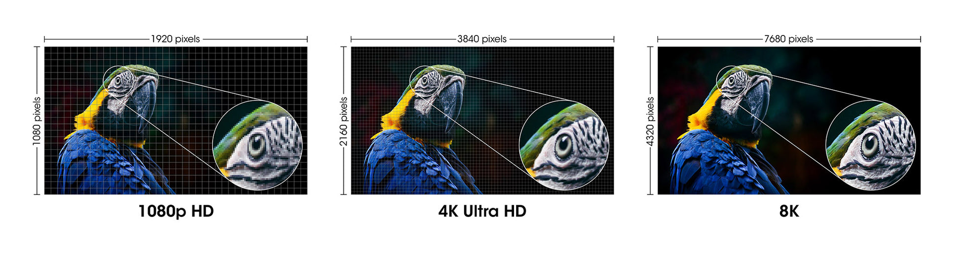 8K@60Hz Certified Ultra High Speed HDMI Cable with Ethernet, 1 m Image 8