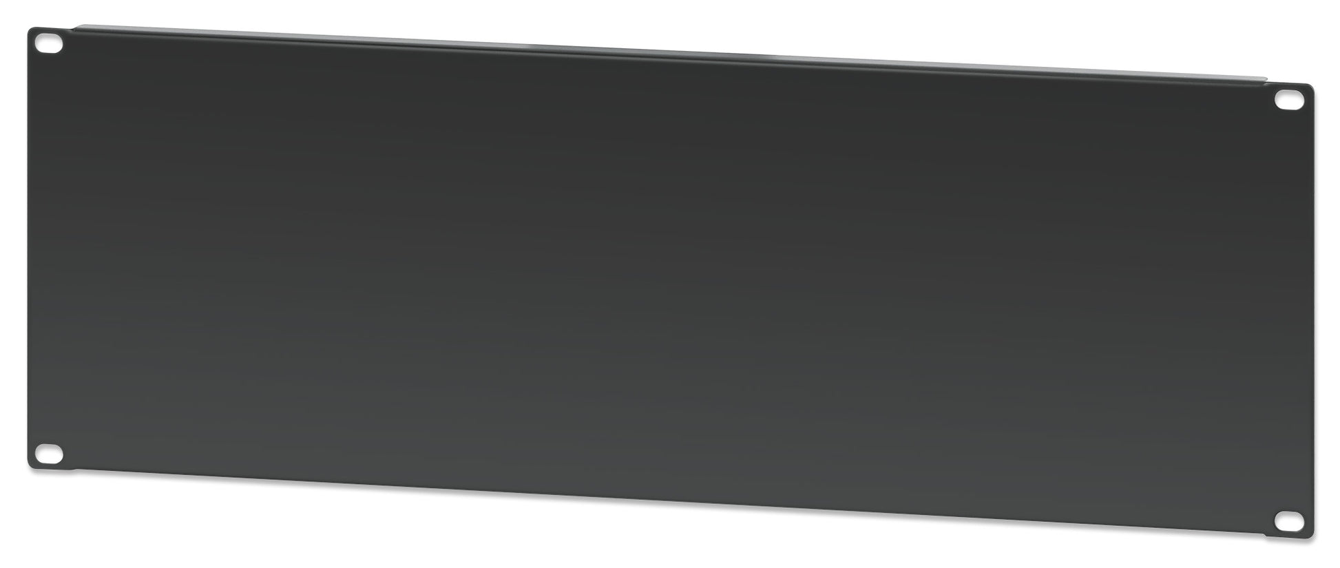 19" Blank Panel, 4U Image 1