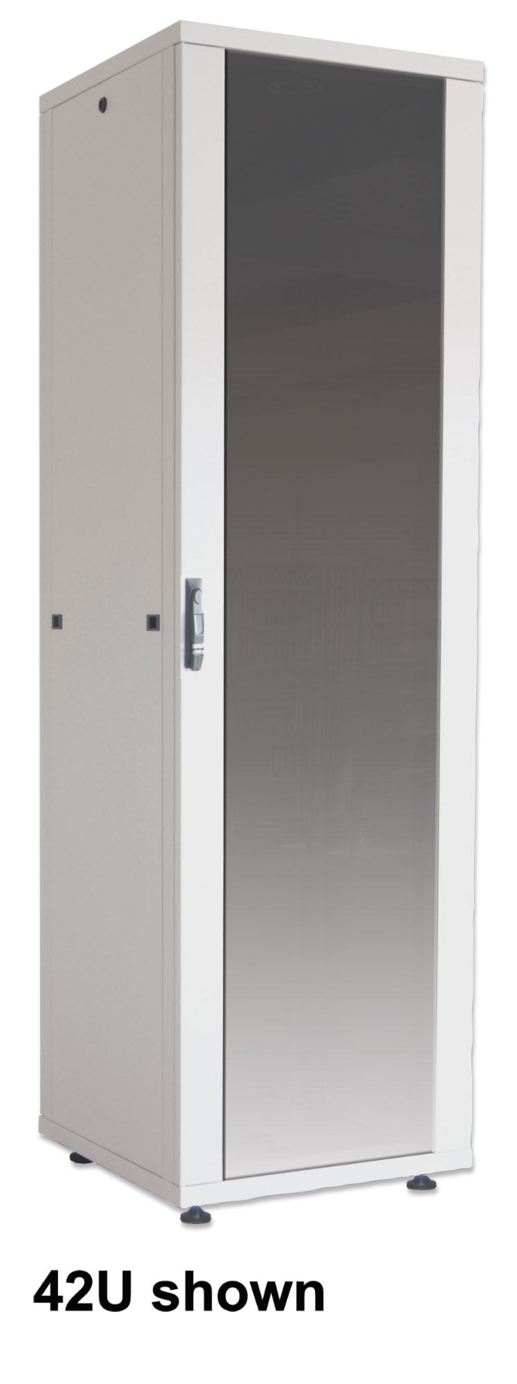 19" Network Cabinet, Basic Line, 42U, 800 (D) x 600 (W) mm, Gray Image 2