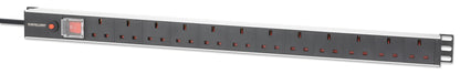 Vertical Rack Mount 12-Output Power Distribution Unit (PDU) Image 1