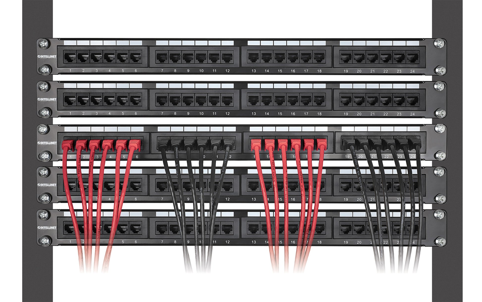 Cat6 U/UTP Slim Network Patch Cable, 1 ft., Red, 10-Pack Image 6