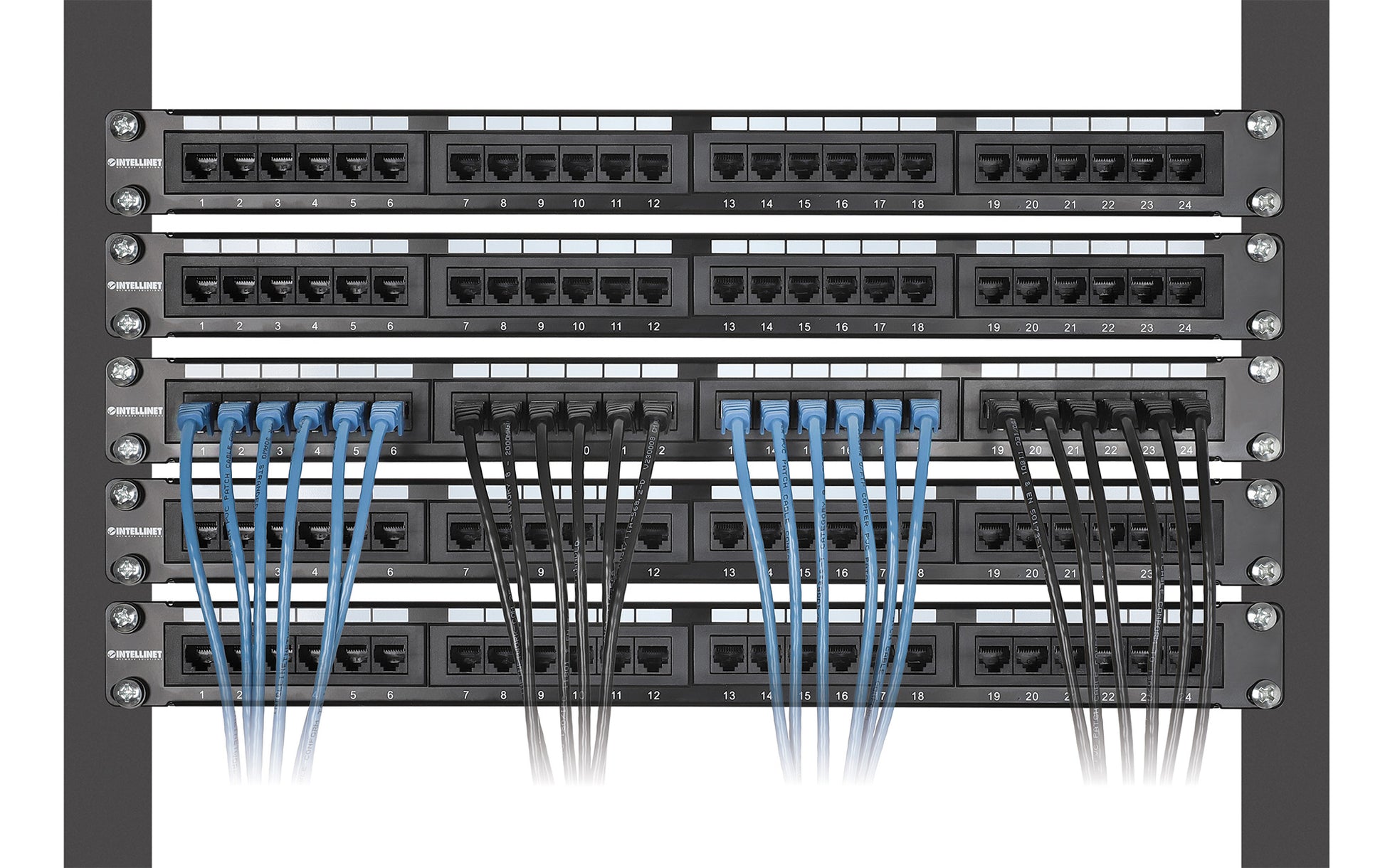 Cat6 U/UTP Premium Network Patch Cable, 0.25 m (0.8 ft.), Black, 10-Pack Image 6