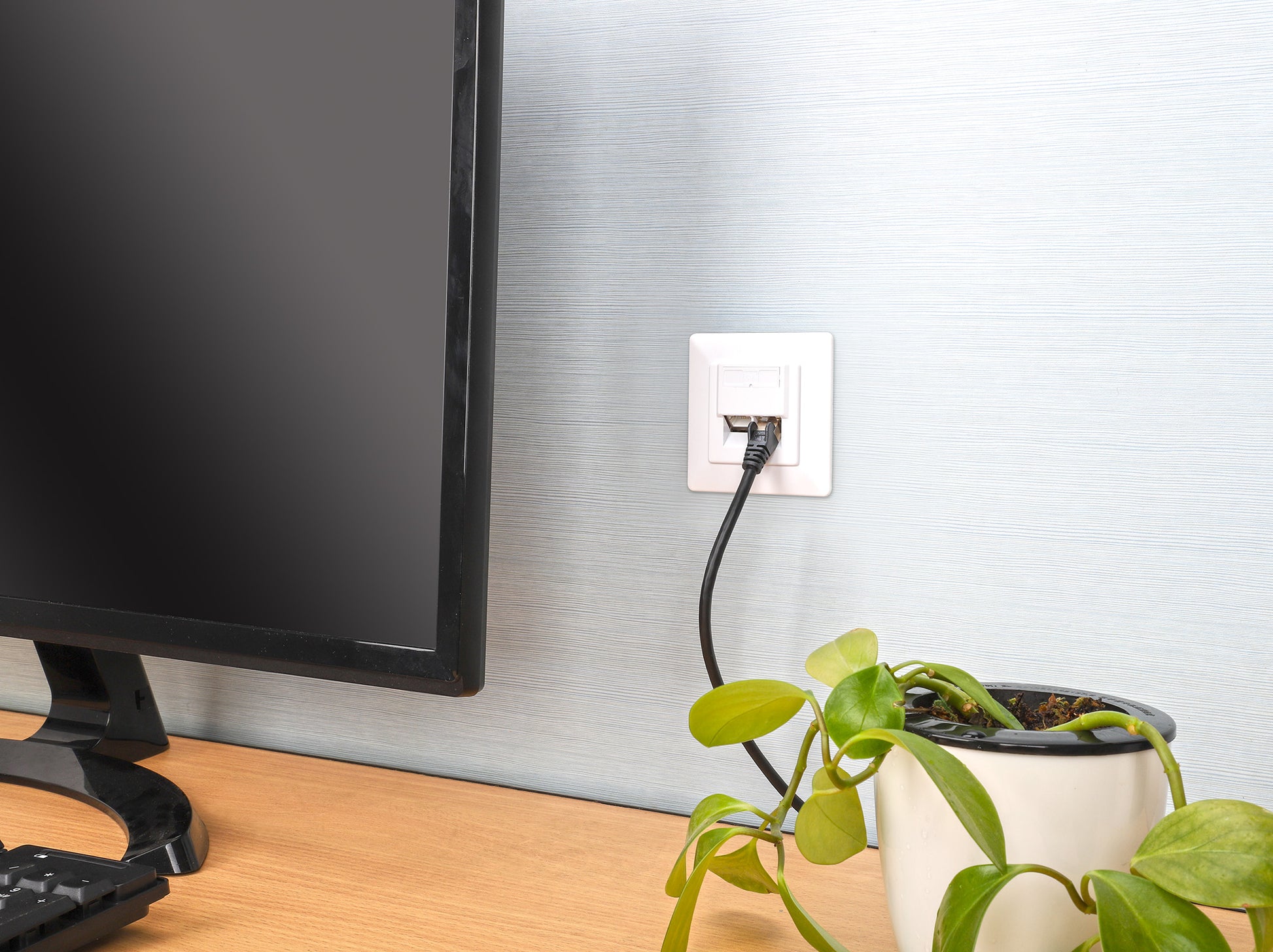 2-Port Cat6a 10G Shielded RJ45 Wall Plate Image 10