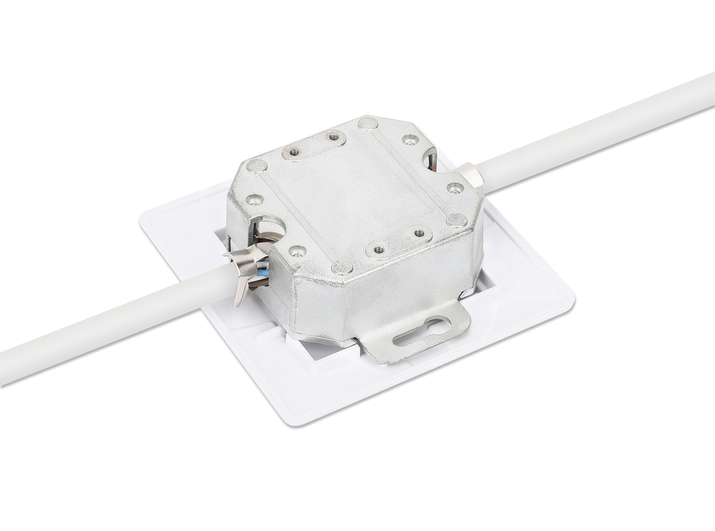 2-Port Cat6a 10G Shielded RJ45 Wall Plate Image 6