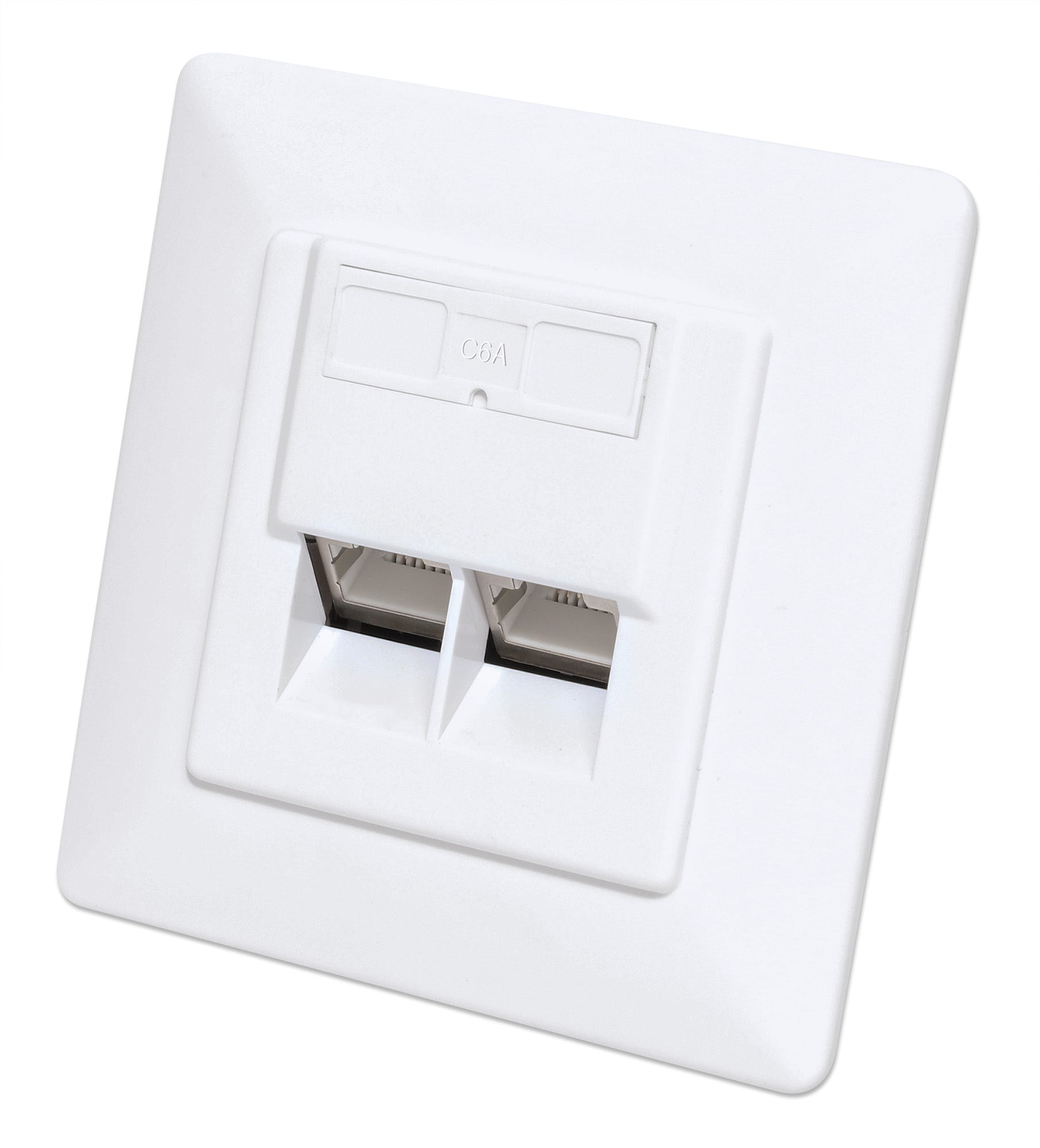 2-Port Cat6a 10G Shielded RJ45 Wall Plate Image 1