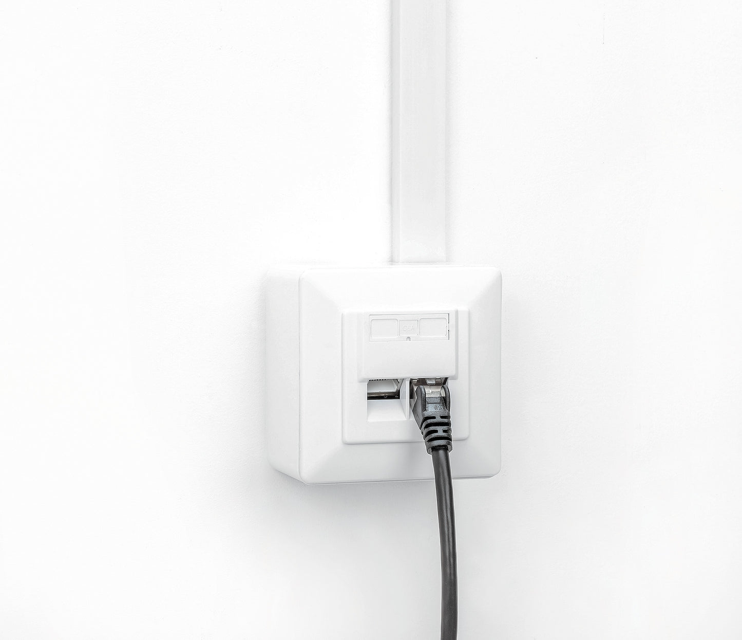 2-Port Cat6a 10G Shielded RJ45 Wall Plate Image 9