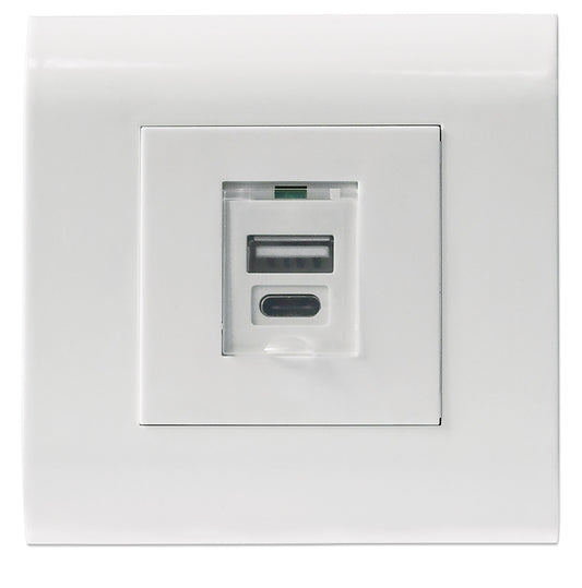 2-Port USB-A & USB-C Wall Outlet with Faceplate Image 1
