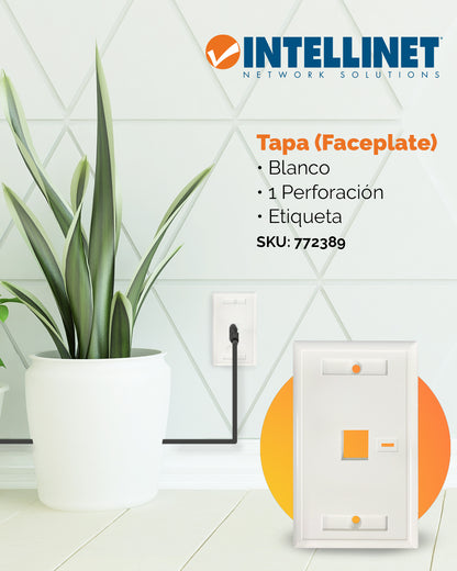 1-Outlet Keystone Wall Plate (Faceplate) Image 3