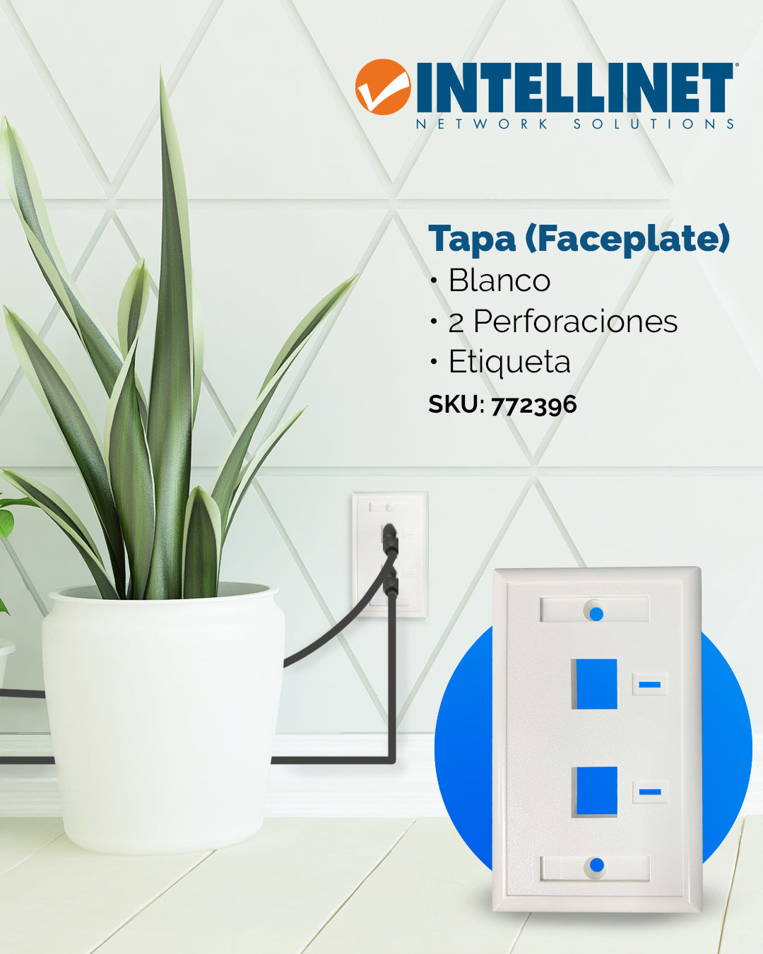 2-Outlet Keystone Wall Plate (Faceplate) Image 3